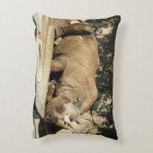 睡眠中のサイ アクセントクッション (裏面(縦))