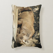 睡眠中のサイ アクセントクッション (正面(垂直))