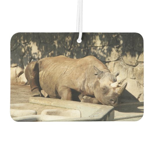 睡眠中のサイ カーエアーフレッシュナー (裏面)