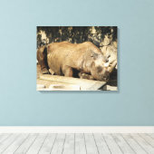 睡眠中のサイ キャンバスプリント (インサイチュ (ウッドフロア))