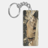 睡眠中のサイ キーホルダー (正面左)