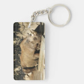 睡眠中のサイ キーホルダー (裏面)