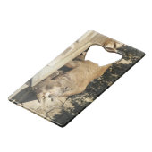 睡眠中のサイ クレジットカード栓抜き (正面アングル)