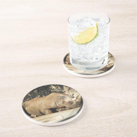 睡眠中のサイ コースター (側面)