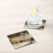 睡眠中のサイ スクエアペーパーコースター (インサイチュ)