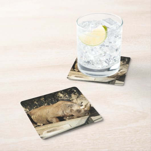 睡眠中のサイ スクエアペーパーコースター (インサイチュ)