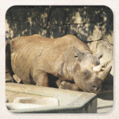 睡眠中のサイ スクエアペーパーコースター (正面)