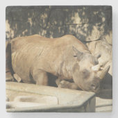 睡眠中のサイ ストーンコースター (正面)