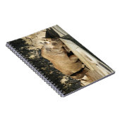 睡眠中のサイ ノートブック (右側)