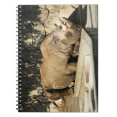 睡眠中のサイ ノートブック (正面)