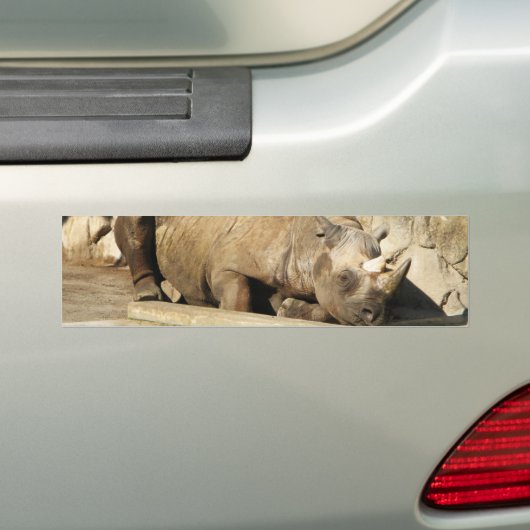 睡眠中のサイ バンパーステッカー (車上)