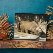 睡眠中のサイ フォトプラーク (側面)