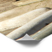 睡眠中のサイ ポスター (角)