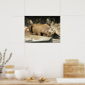 睡眠中のサイ ポスター (キッチン)