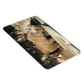 睡眠中のサイ マグネット (右側)