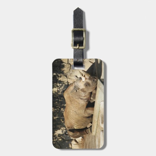 睡眠中のサイ ラゲッジタグ (正面縦)