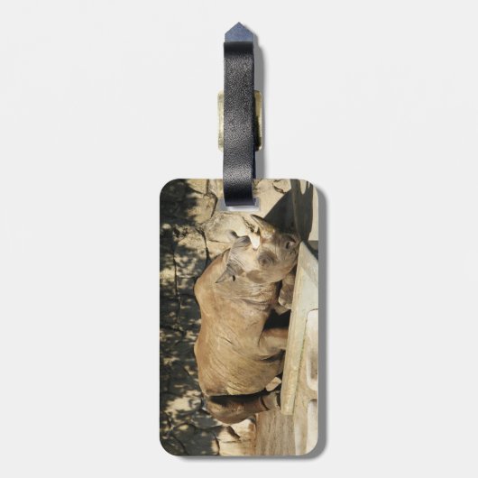 睡眠中のサイ ラゲッジタグ (裏面縦)