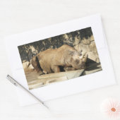 睡眠中のサイ 長方形シール (封筒)