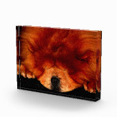 睡眠中のチャウチャウパクナ フォトブロック (右)