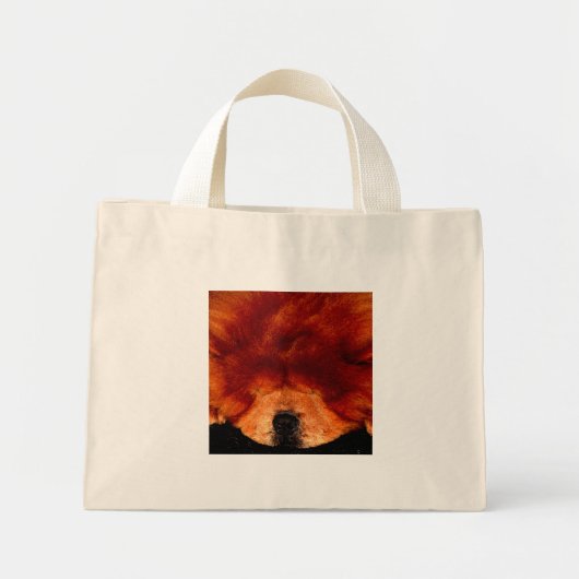 睡眠中のチャウチャウTTCNA ミニトートバッグ (正面)