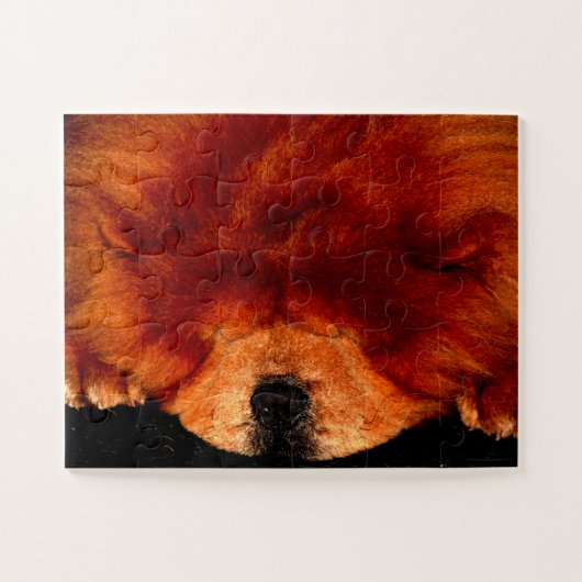 睡眠中のチャウ11x14 30pc jpcna ジグソーパズル (横)