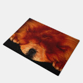 睡眠中のチャウDMCNA ドアマット (アングル)