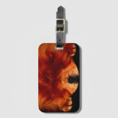 睡眠中のチョウbc ltcn ラゲッジタグ (正面縦)