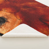 睡眠中チャウショフスクナ シェルパブランケット (3/4)