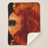 睡眠中チャウショフスクナ シェルパブランケット (正面)