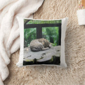 睡眠大きな猫枕 クッション (ブランケット)