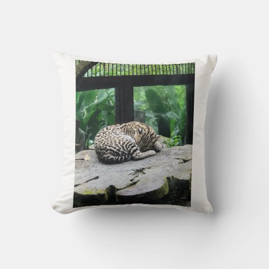 睡眠大きな猫枕 クッション (正面)