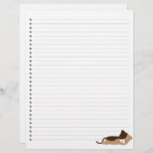 睡眠子猫並みペットレターヘッド (正面/裏面)