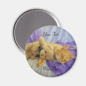 睡眠子猫磁石 マグネット (正面/裏面)