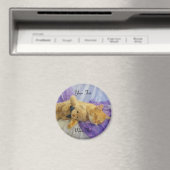 睡眠子猫磁石 マグネット (インサイチュ (食洗機))