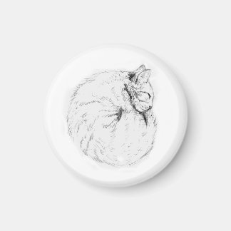 睡眠子猫磁石 マグネット