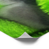 睡眠子猫 ポスター (角)