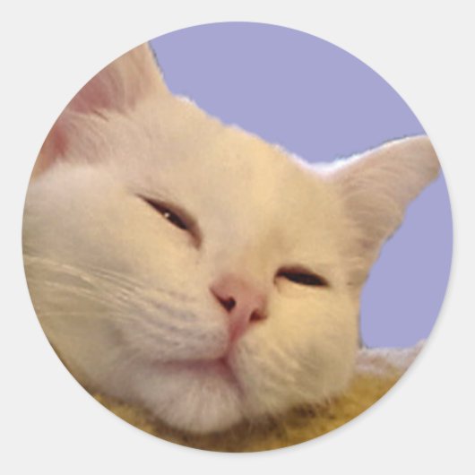 睡眠時間 ラウンドシール (正面)