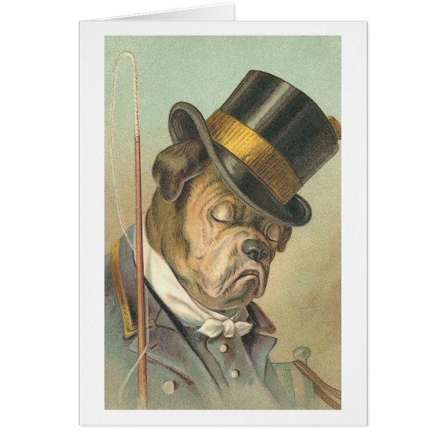 "睡眠犬"のヴィンテージのイラストレーション (正面)