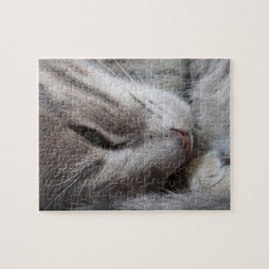 睡眠猫のパズル ジグソーパズル (横)