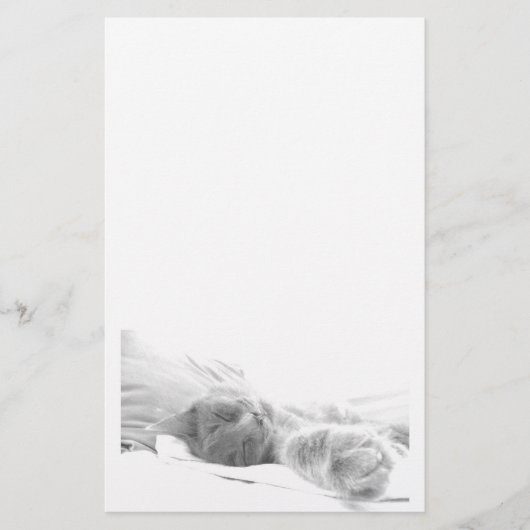 睡眠猫の文房具 便箋 (正面)