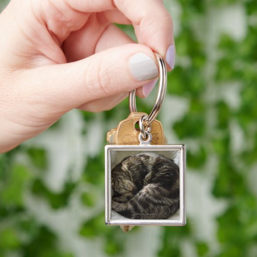 睡眠猫 キーホルダー (手)