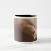 睡眠猫 ツートーンマグカップ (中央)