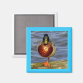 睡眠用鴨マグネット マグネット (正面/裏面)