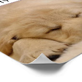 睡眠美しい ポスター (角)