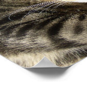 睡眠美しい ポスター (角)