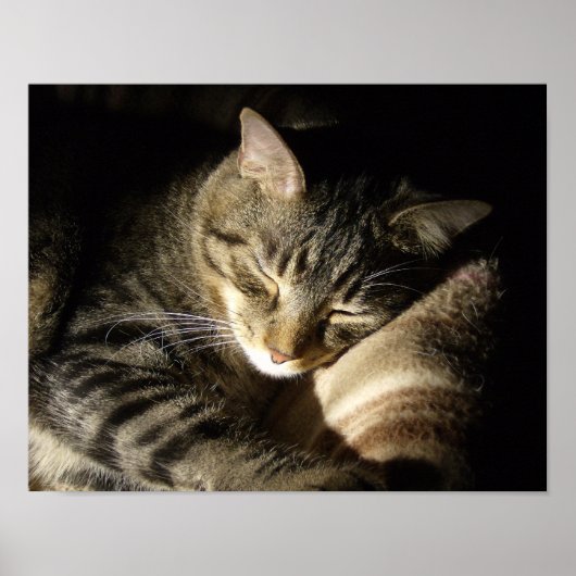 睡眠美しい ポスター (正面)