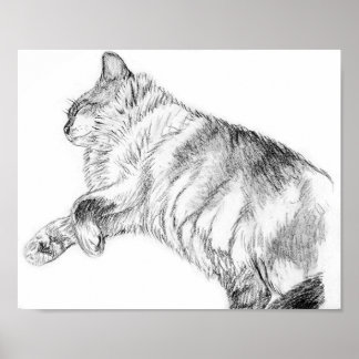 睡眠美しい ポスター