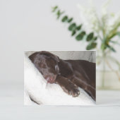 睡眠美しい ポストカード (スタンド正面)