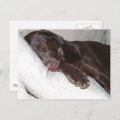 睡眠美しい ポストカード (正面/裏面)