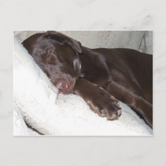 睡眠美しい ポストカード